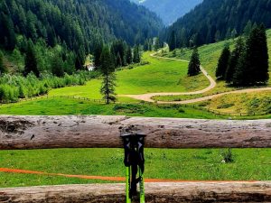 Settimana Verde a Madonna di Campiglio